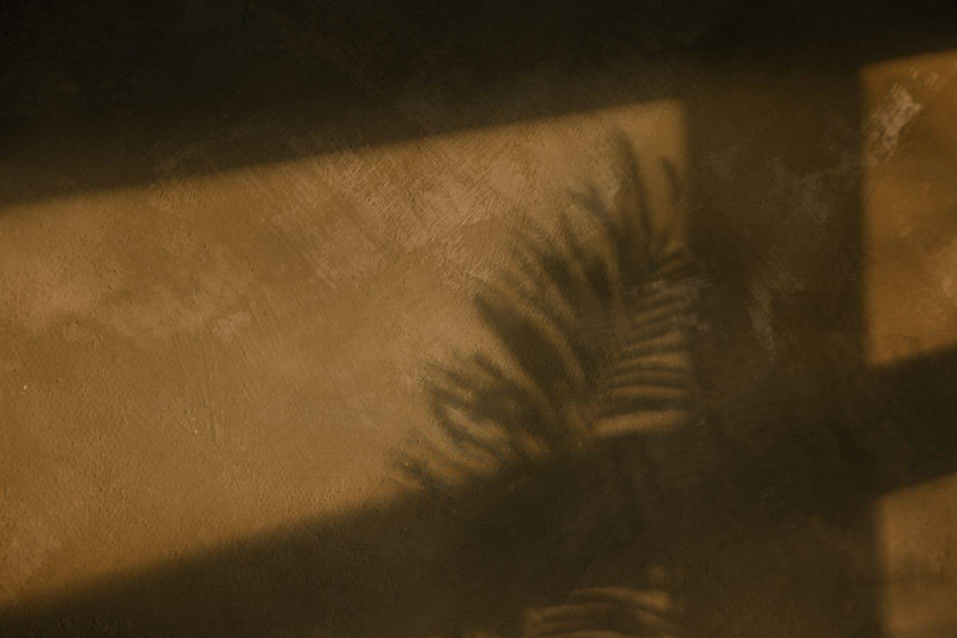 Sunlight moving across a softly textured pale plaster wall and timber furniture