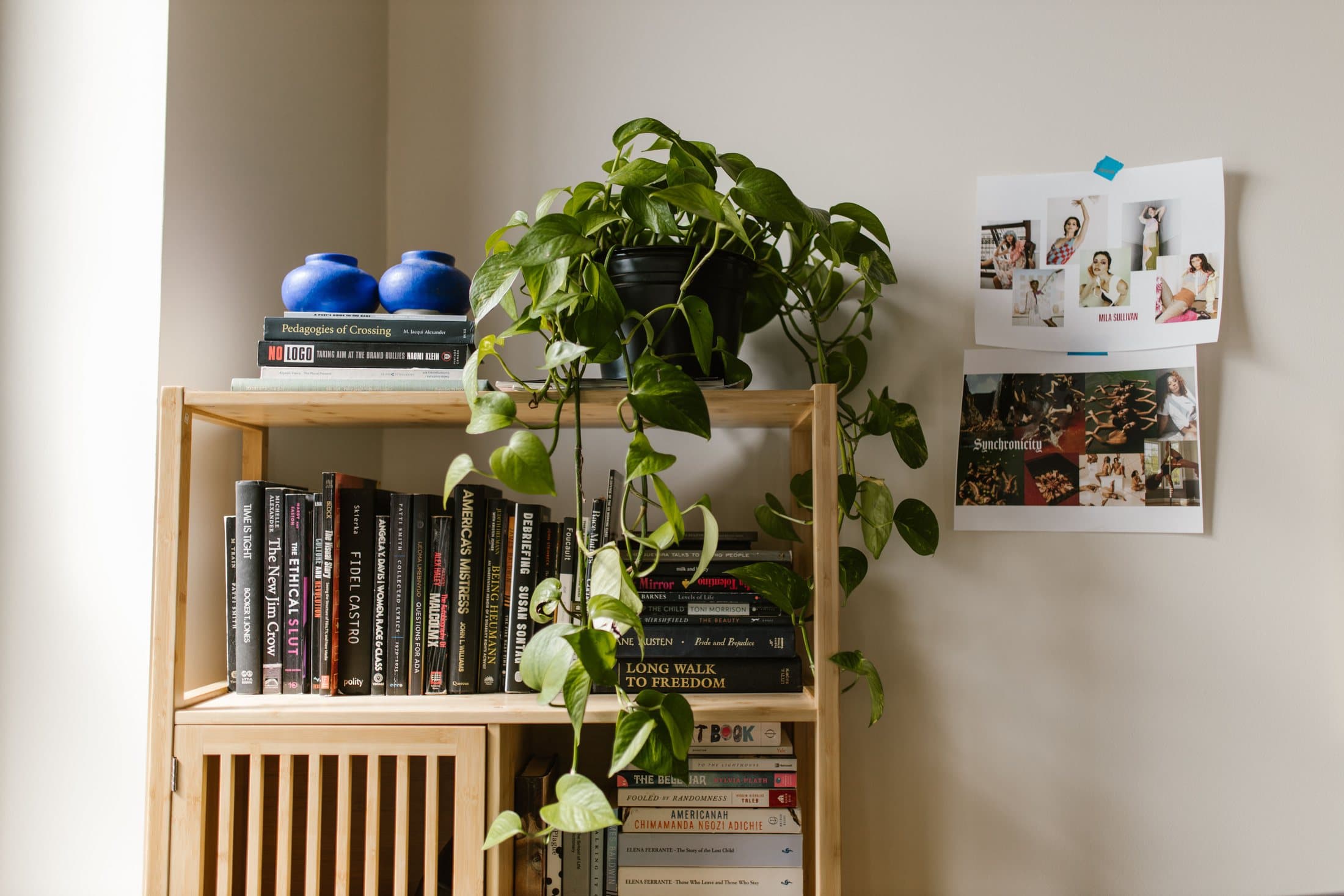 Compact wooden shelf styled with books, a plant and a few objects