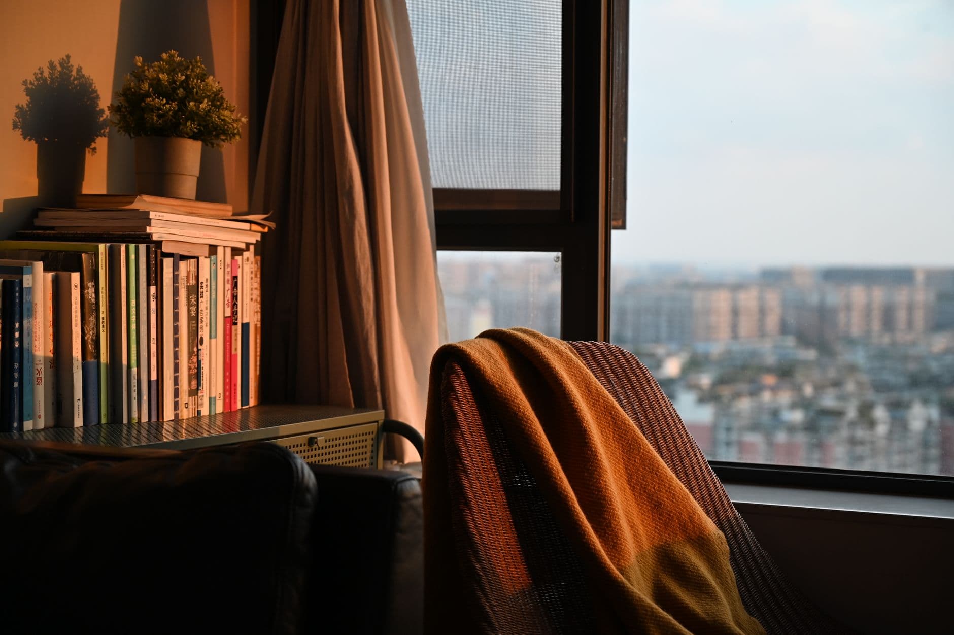 Rounded lounge chair in a book-lined corner lit by late afternoon sun